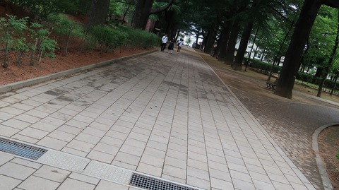 20190714141720_IMG_2913