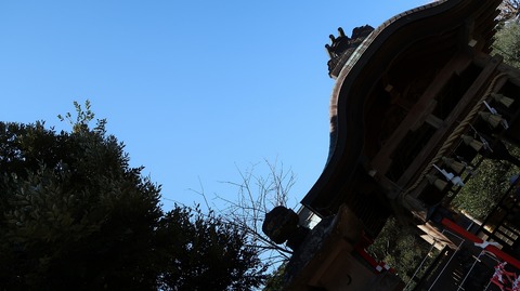 20190309124440_IMG_1157