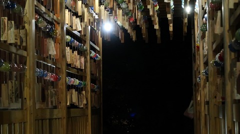 20190710192710_IMG_2784