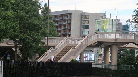 20200726182234_IMG_6808