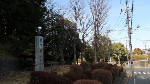 20190210135425_IMG_0912