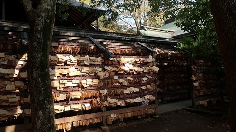 20190331152325_IMG_1447