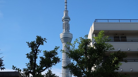 20220730165515_IMG_5266