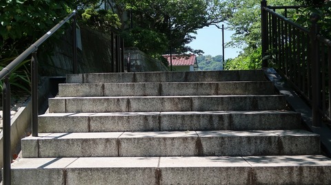 20190525121609_IMG_2392