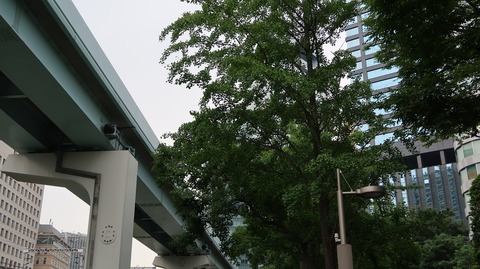 20190720160846_IMG_3064