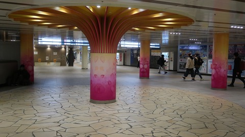 20231203132445_IMG_0737