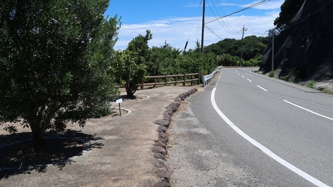 20220702134346_IMG_4842