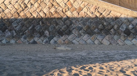 20200209163319_IMG_5730