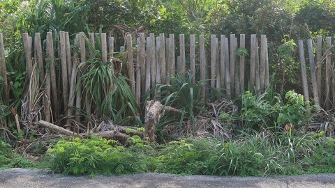 20221121145100_IMG_6967~2