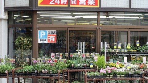 20190714132743_IMG_2893