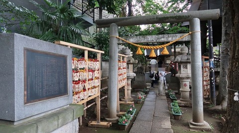 20190629142247_IMG_2645