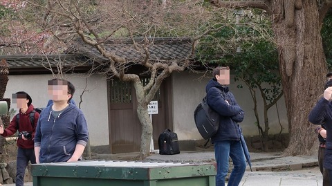 20190223153911_IMG_1067