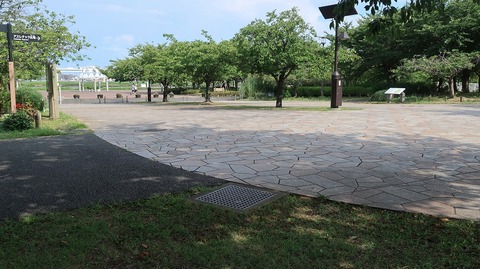 20220807154303_IMG_5440