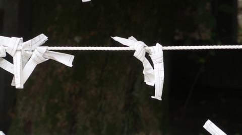 20220813090858_IMG_5776