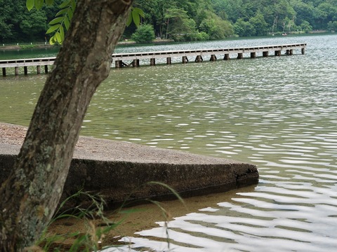 20190713130347_IMG_2829