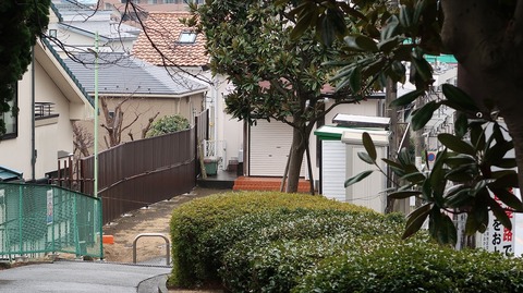 20190209101924_IMG_0870