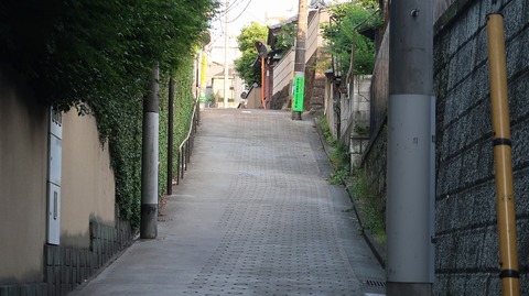 20220528172624_IMG_4425