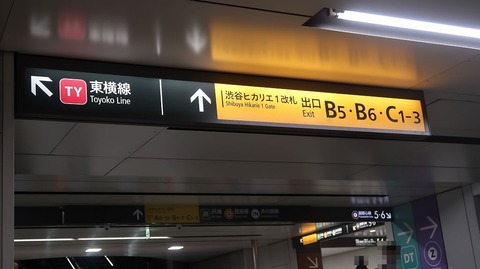 20231112084121_IMG_0364