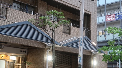 20230415172222_IMG_7975