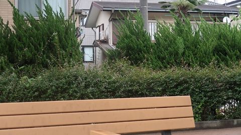 20230513174251_IMG_8319