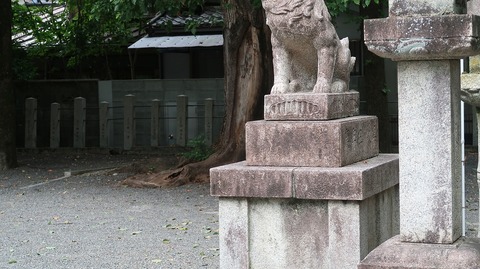 20220813091631_IMG_5788