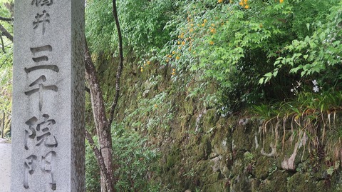 20220501135757_IMG_3775