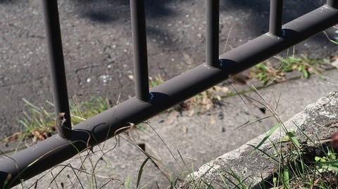 20200921121558_IMG_8140