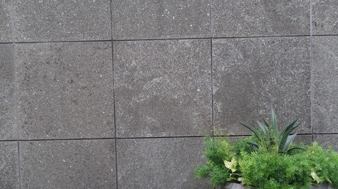 20230910170942_IMG_9212