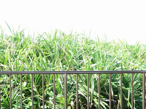 20221121110850_IMG_6922