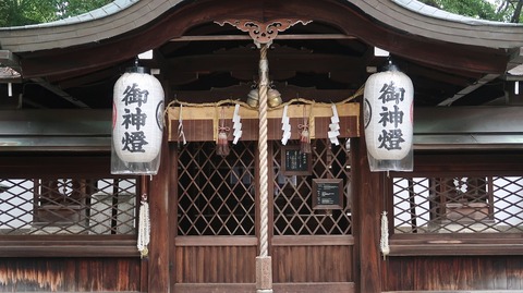 20220813091446_IMG_5784