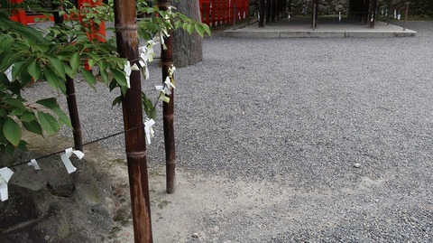 20220813100209_IMG_5815