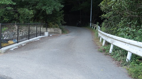 20220701190119_IMG_4796