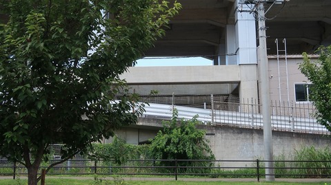 20220723141604_IMG_5150