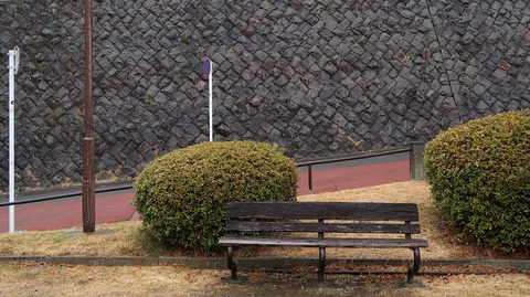 20190209100958_IMG_0861