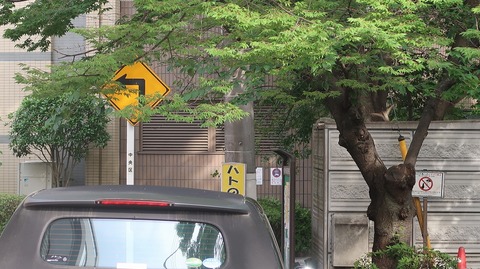 20230527161005_IMG_8367