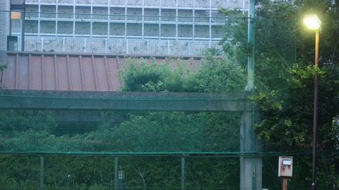 20230610185444_IMG_8546