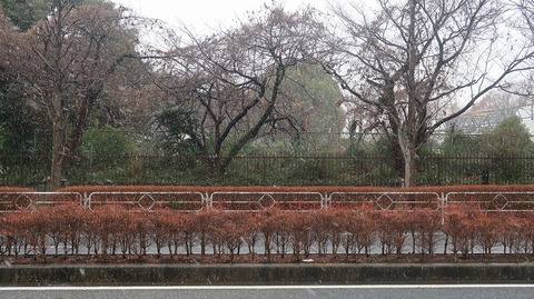 20200118130925_IMG_5275