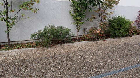 20221126120953_IMG_7030