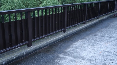 20200726190150_IMG_6838