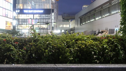 20211031173122_IMG_2330