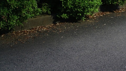 20220515192612_IMG_4325