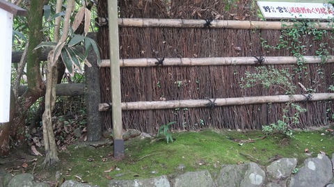 20200808101103_IMG_7057