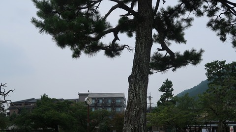 20200808110551_IMG_7094