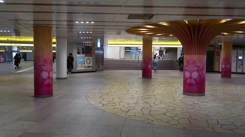 20231203131931_IMG_0726