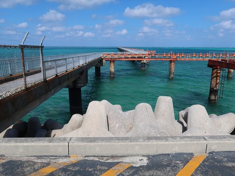 20221121115352_IMG_6928