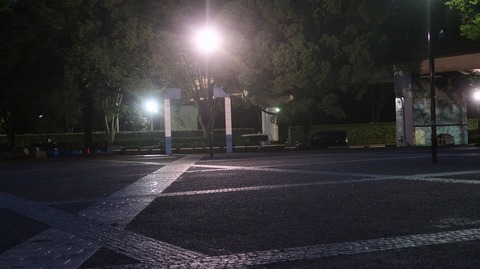 20200726192908_IMG_6861