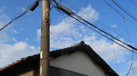 20200801173316_IMG_6942