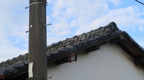 20200801172606_IMG_6936