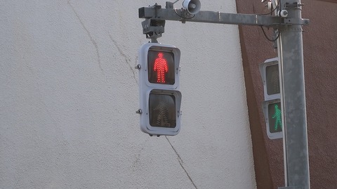 20220410163915_IMG_3385