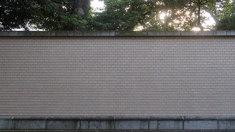 20220625174041_IMG_4658